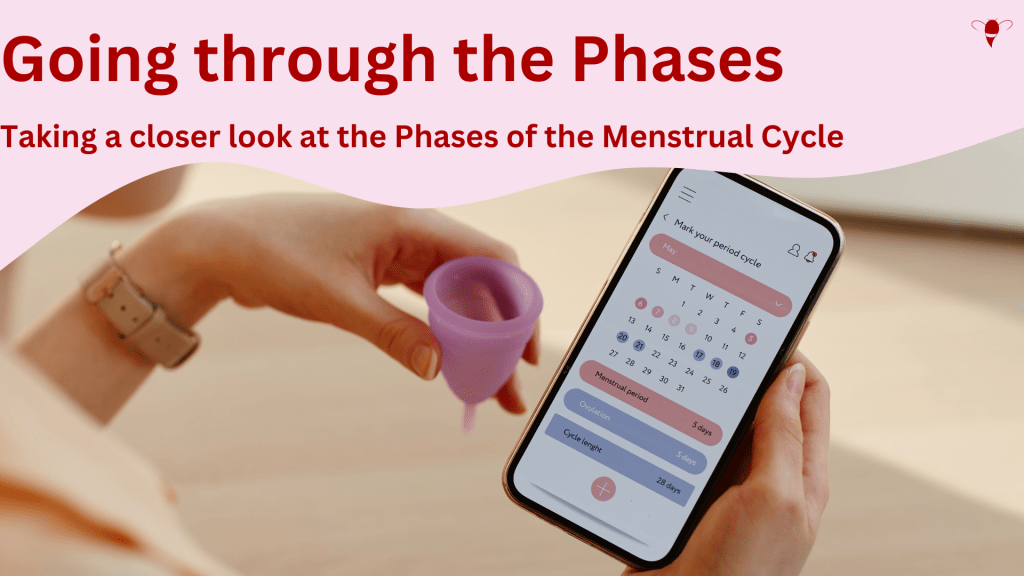 Going through the&nbsp;Phases